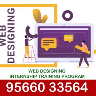 Web Development Internship